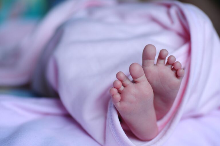 close-up of newborn baby feet snuggled in a soft pink blanket, symbolizing innocence and new life.
