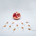 a conceptual image of almond shapes resembling sperm surrounding a pomegranate on a white surface.