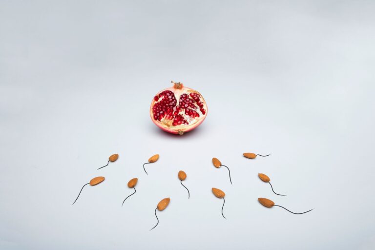 a conceptual image of almond shapes resembling sperm surrounding a pomegranate on a white surface.